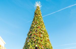 leesburg-christmas-tree